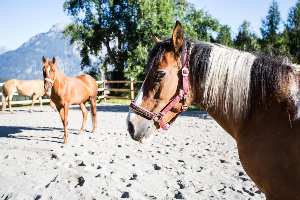 Ferienwohnungen Oetztal Sautens Luaran gambar